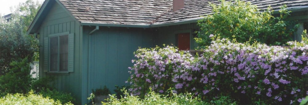 Front door of 1941 Hurst Avenue, the author's childhood home. Green house with bushes with purple flowers in front and various green grasses on the ground. Door is reddish in color; house is green.