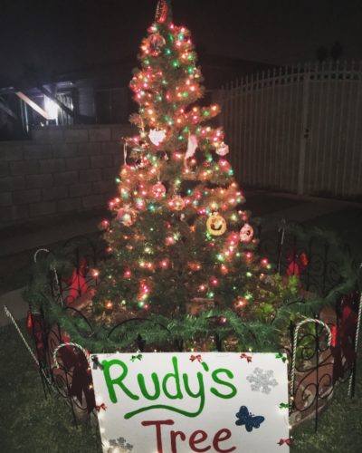 Rudy's tree with Christmas lights and a sign in front that says "Rudy's Tree"