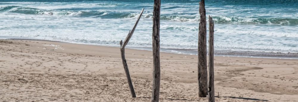 Sandy beach with waves in the background. In the foreground, there are four pieces of driftwood stuck vertically into the sand.