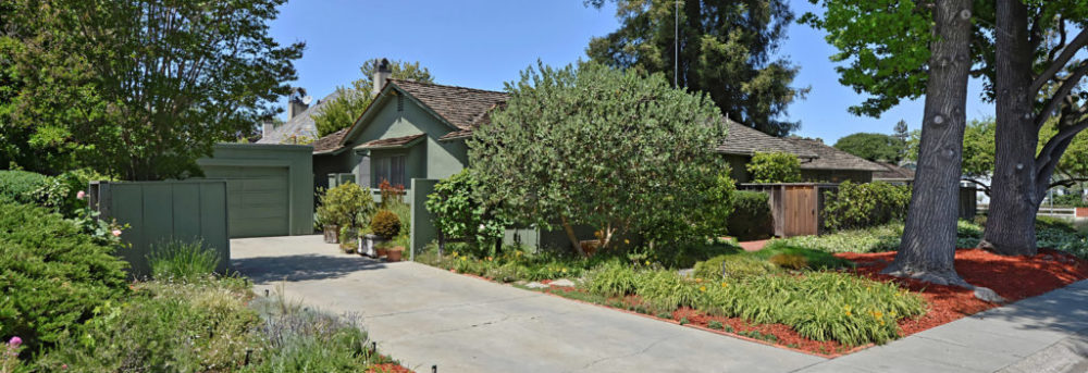 View of Hurst Avenue from the side. The driveway is in the foreground with the green house in the background, largely hidden by bushes. The redwood trees are behind it and the liquid amber trees are to the left.