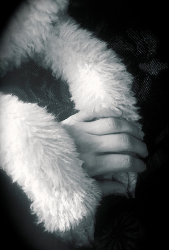 Black and white photo of Tilly's paws. Aimee's hand is holding the right paw.