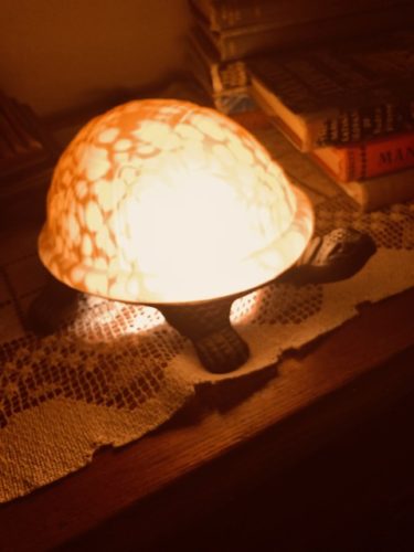 Turtle lamp sitting on a wood sideboard on a piece of lace. The "shell" is illuminated. The head is on the right side of the photo and there are books to the right of it.