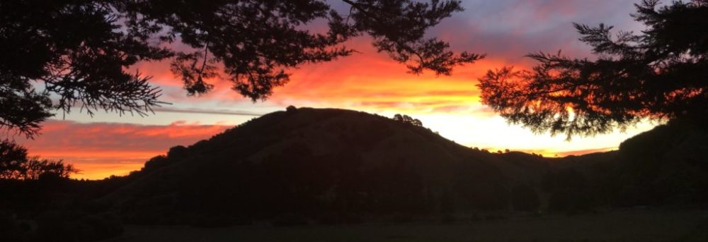 Orange clouds at sunset with a tree in foreground and a hill in the background