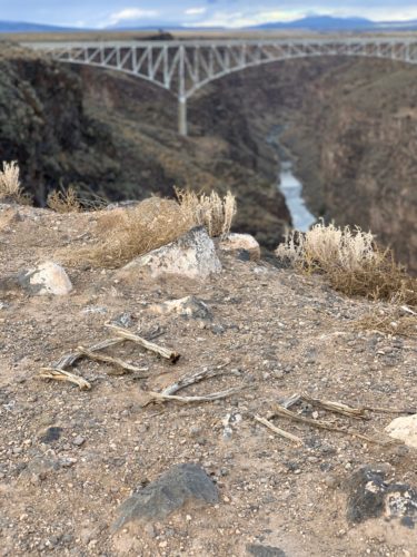 "EVE" is written with sticks in the dirt on a bluff overlooking the American River and the Auburn (California) bridge which is visible in the background