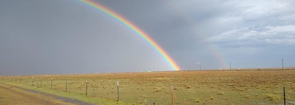 A rainbow coming in from the left side of the photo and touching the green brown field in the middle. The sky is gray and cloudy. There's a metal wire fence barely visible in front of the field and a a dirt road in front of the fence.