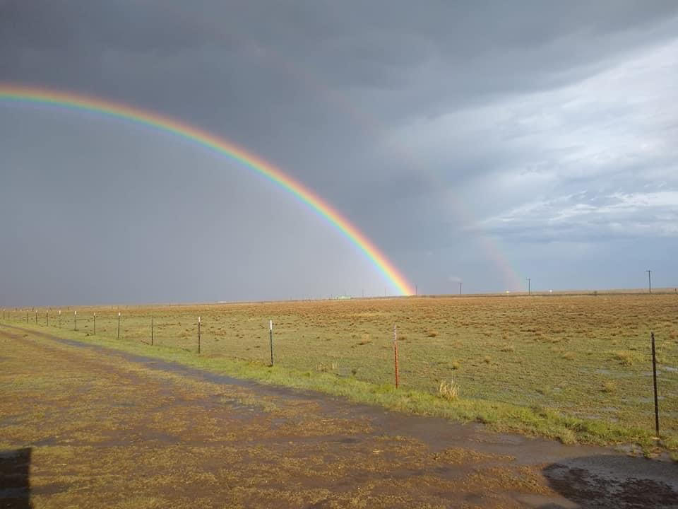 A rainbow coming in from the left side of the photo and touching the green brown field in the middle. The sky is gray and cloudy. There's a metal wire fence barely visible in front of the field and a a dirt road in front of the fence.