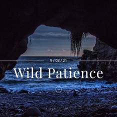Grief Dialogues – Wild Patience