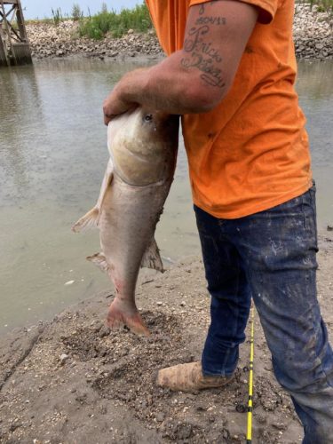 TJ holding a large fish. He's wearing an orange t-shirt and blue jeans. he's standing on a wooden dock and the water is visible to the left of him