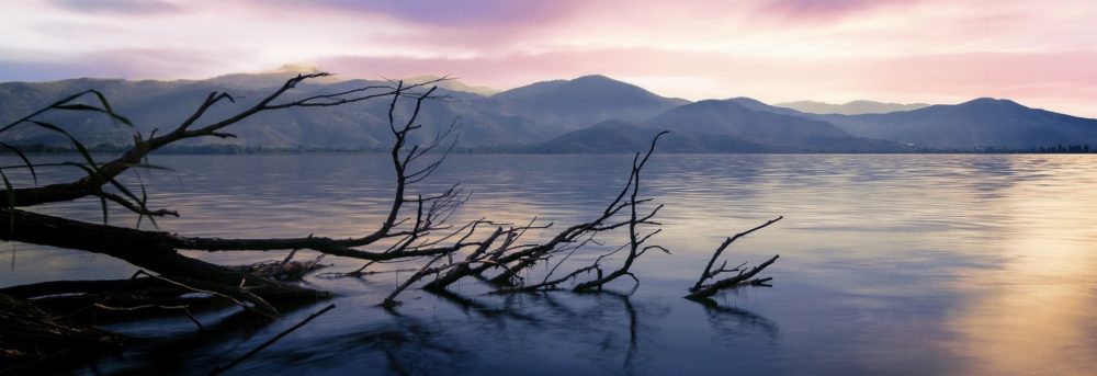 Dead tree half in the water, half out. The sky is light purple and orange with hills visible in the background. The water is dark blue and parts of it reflect the orangish color of the sky