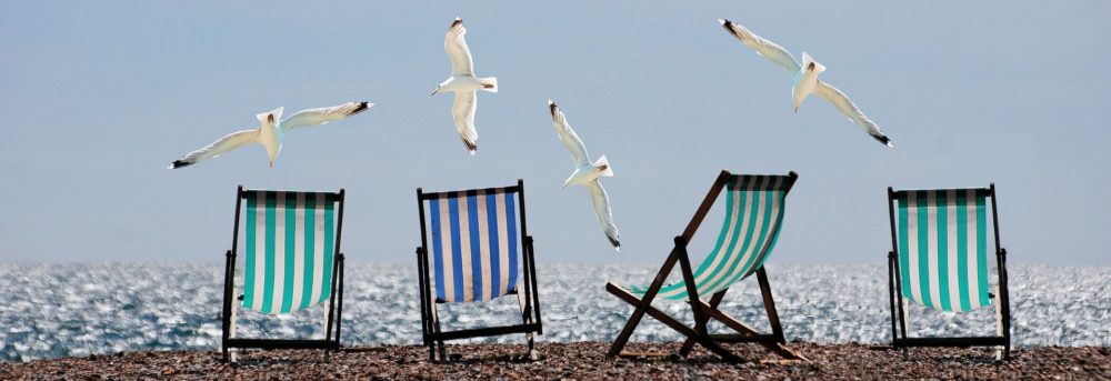 Four canvas beach chairs in the sand with four gulls circling above them. Two are green and white stripped; two are navy blue and white striped