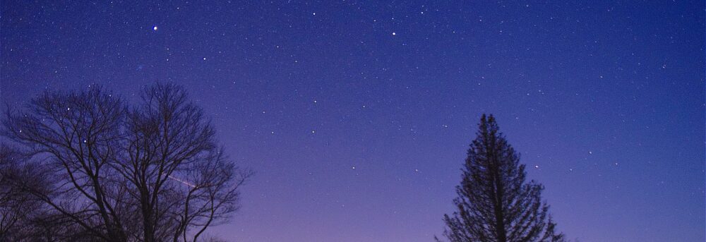Blue violet winter sky with stars in it. Two trees appear in dark silhouette in front.